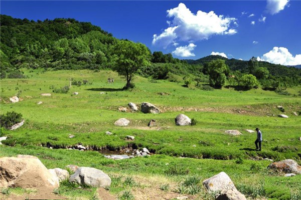 山西庞泉沟国家级自然保护区旅游攻略