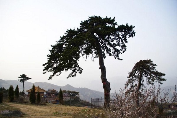 山西北岳恒山旅游区旅游攻略