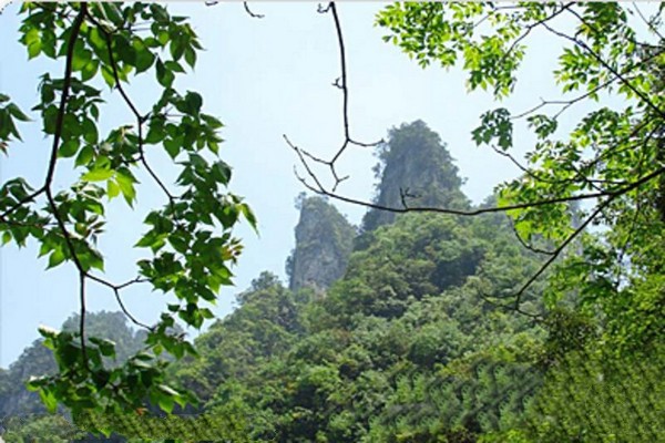 山西阳城蟒河猕猴国家级自然保护区旅游攻略