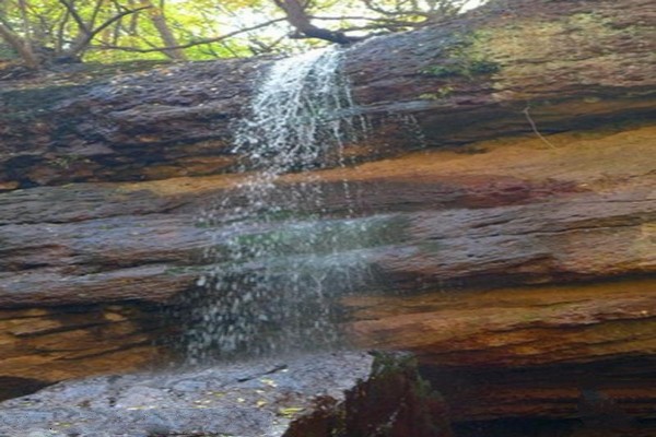 山西沁水历山国家级自然保护区旅游攻略