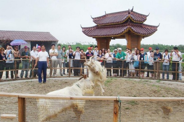 崇明瀛东生态村旅游攻略