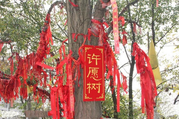 常州天目湖太公山风景区旅游攻略