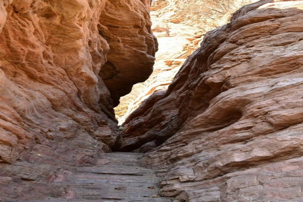 平山佛光山生态风景区旅游攻略