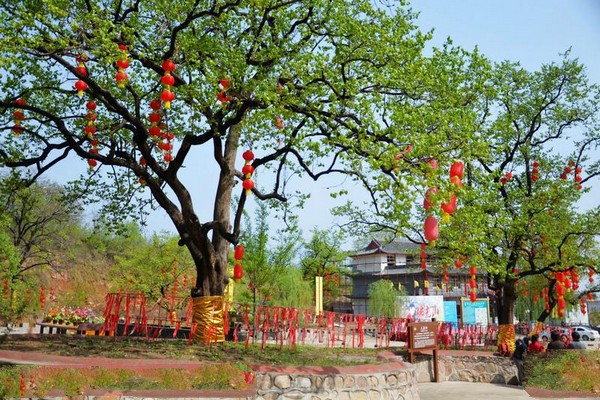 平山佛光山生态风景区旅游攻略