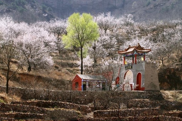 平山佛光山生态风景区旅游攻略