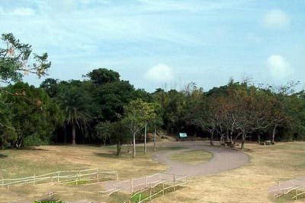 廊坊自然公园旅游攻略