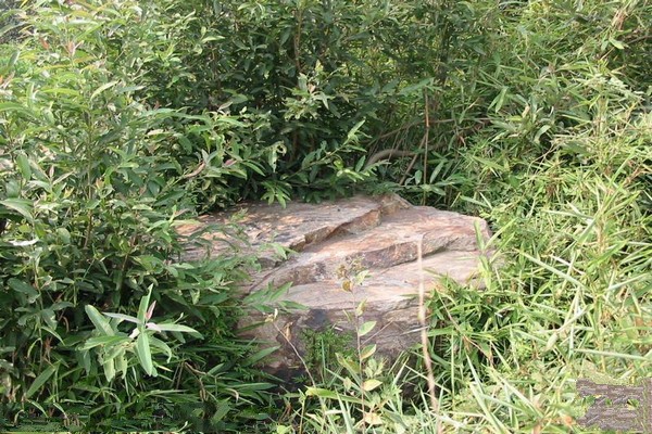 张家港凤凰山旅游攻略