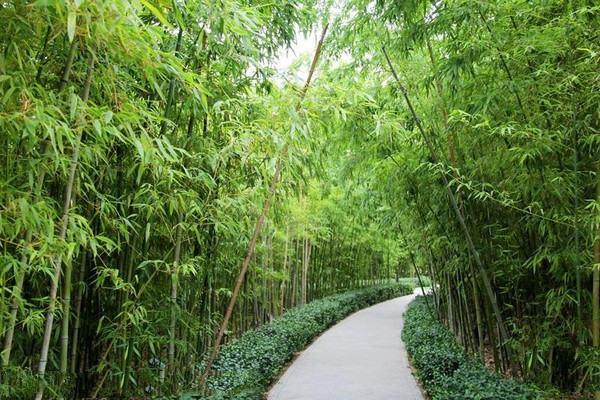 徐州金龙湖风景区旅游攻略