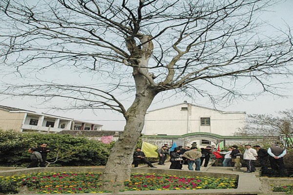 张家港凤凰山旅游攻略