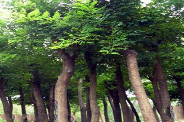 忻州市定襄凤凰山景区旅游攻略