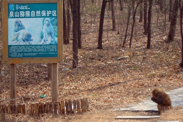 徐州泉山森林公园旅游攻略