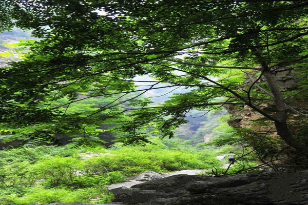 承德青松岭大峡谷旅游攻略