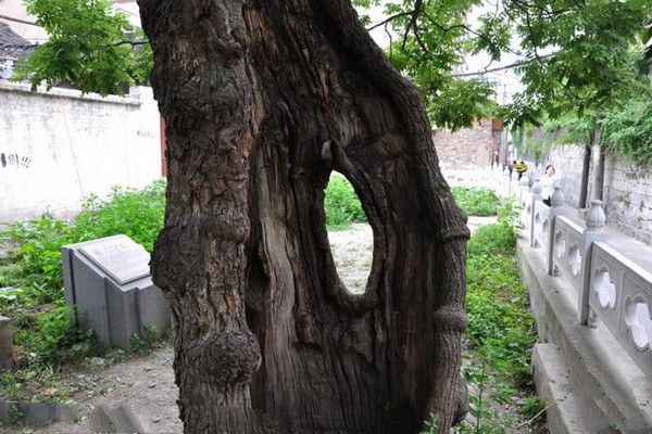扬州八怪纪念馆旅游攻略