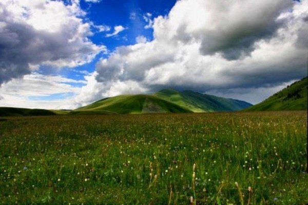 承德御道口草原森林风景区旅游攻略