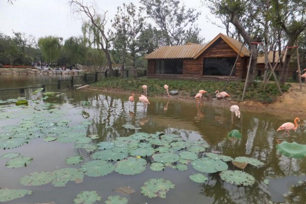 扬州茱萸湾公园旅游攻略