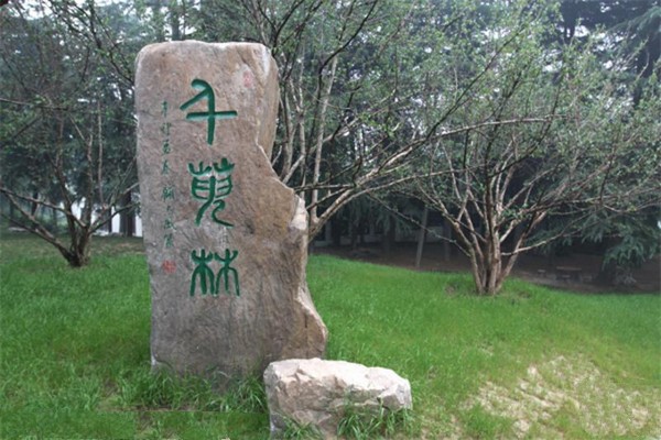 扬州茱萸湾公园旅游攻略