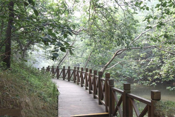 扬州茱萸湾公园旅游攻略