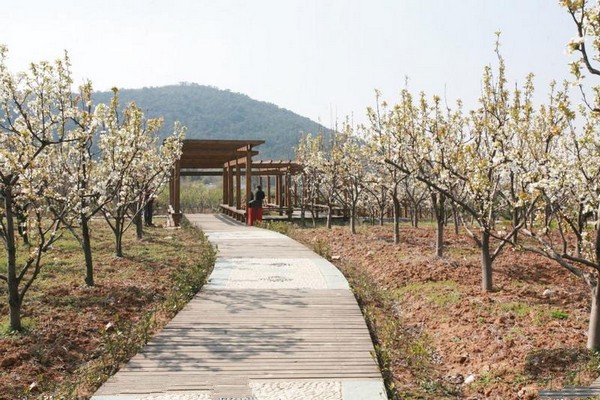 无锡阳山桃花源景区旅游攻略