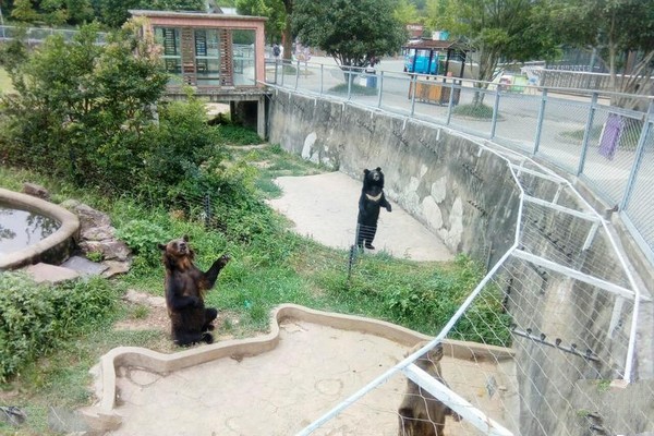 无锡动物园太湖欢乐园旅游攻略