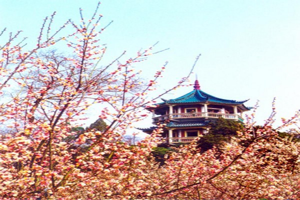 无锡梅园横山风景区旅游攻略