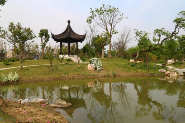 无锡鹅湖玫瑰园旅游攻略