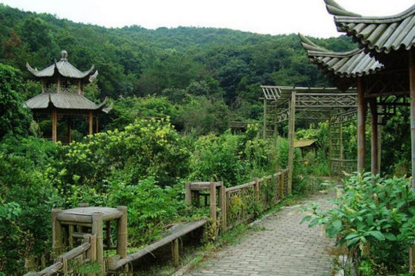 无锡龙寺生态园旅游攻略