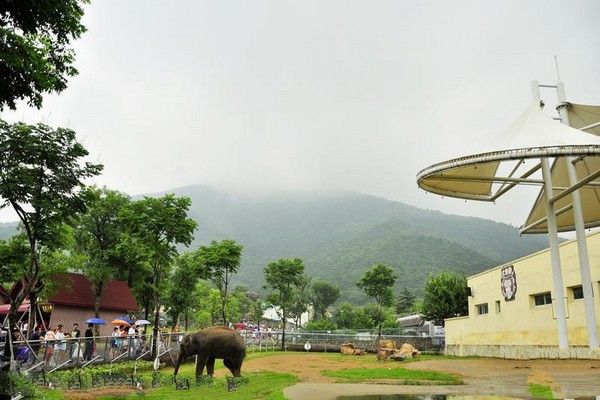 无锡动物园太湖欢乐园旅游攻略