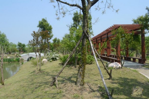 无锡鹅湖玫瑰园旅游攻略