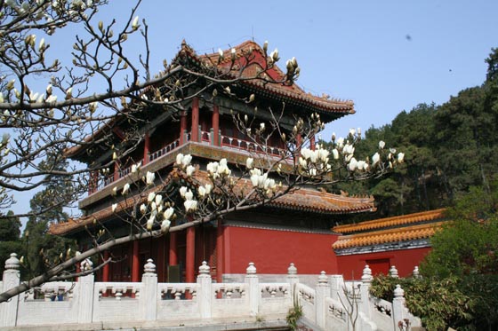 景山公园旅游攻略