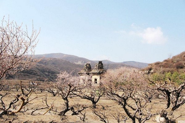 晋阳蒙山大佛旅游攻略