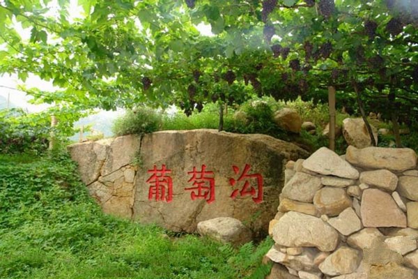 昌黎黄金海岸旅游区旅游攻略