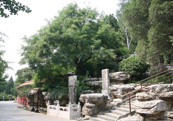 景山公园旅游攻略