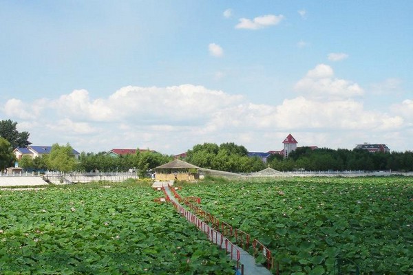 松原查干湖旅游度假区旅游攻略