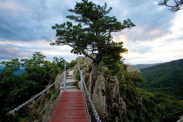 森工清河林区旅游景区旅游攻略