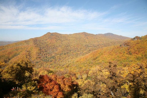 森工清河林区旅游景区旅游攻略
