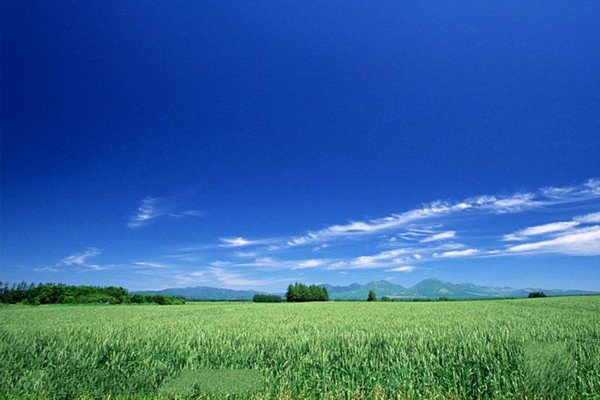 松原查干湖旅游度假区旅游攻略