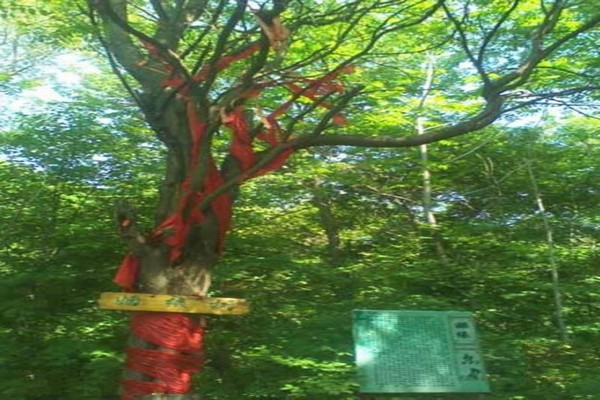 梅河口鸡冠山景区旅游攻略