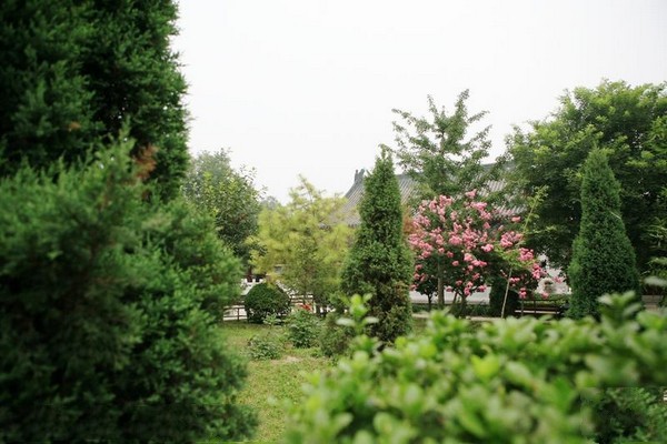 正定临济寺旅游攻略