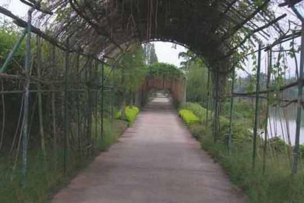 梅河口市四季生态园旅游攻略