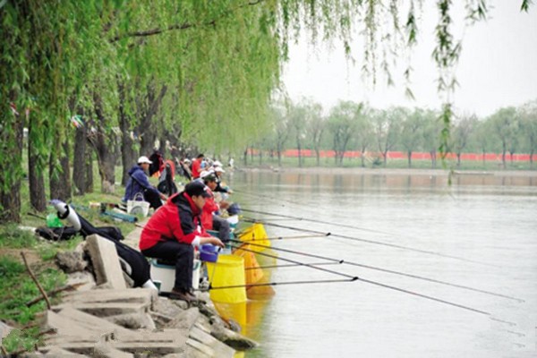 武清南湖游乐园旅游攻略