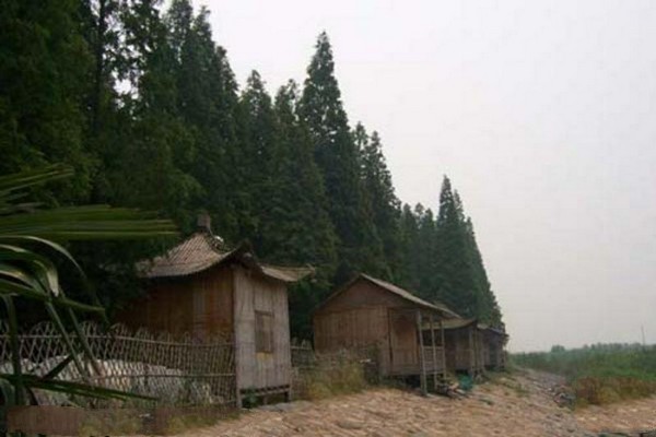 江都邵伯湖风景区旅游攻略