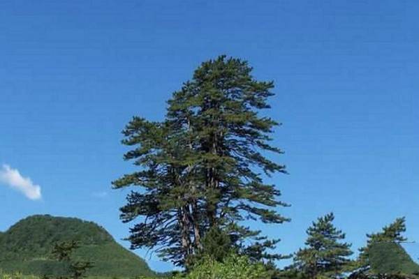 沁源灵空山旅游攻略