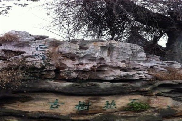 武进艺林园旅游攻略