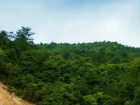 上皇山