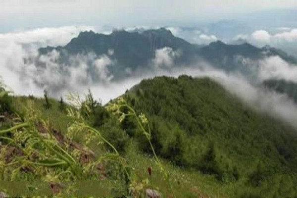 河北雾灵山自然保护区旅游攻略