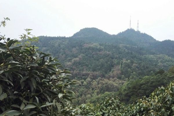 中坡山图片