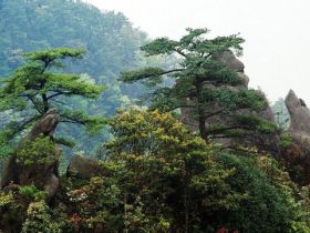 东岳山