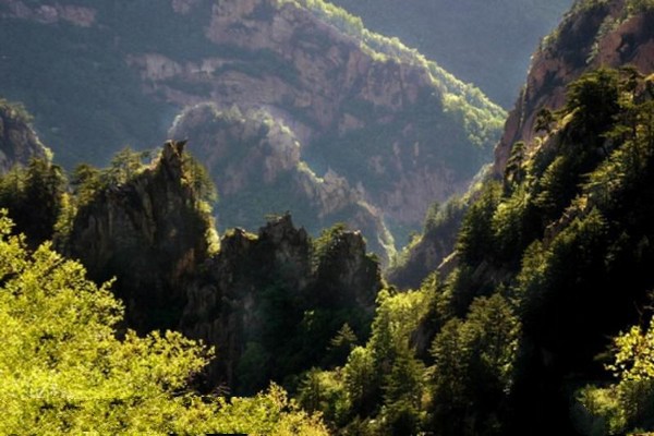 河北雾灵山自然保护区旅游攻略