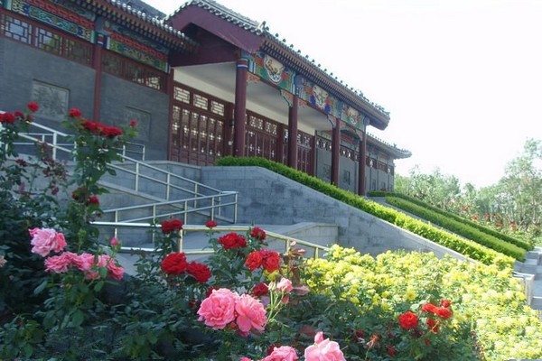 沧州名人植物园旅游攻略