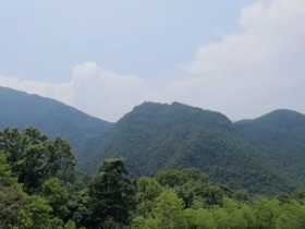 九阜山